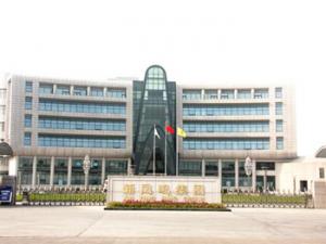 新鳳鳴集團(tuán)股份有限公司